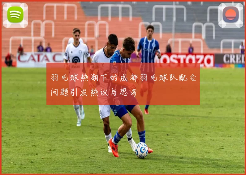 羽毛球热潮下的成都羽毛球队配合问题引发热议与思考