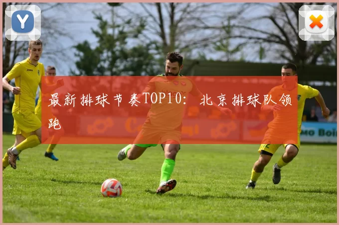 最新排球节奏TOP10：北京排球队领跑