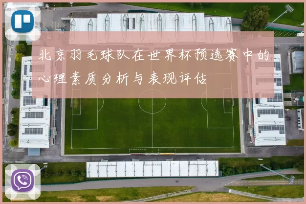 北京羽毛球队在世界杯预选赛中的心理素质分析与表现评估