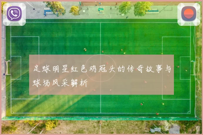 足球明星红色鸡冠头的传奇故事与球场风采解析