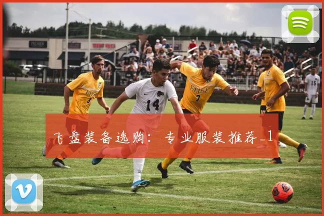 飞盘装备选购：专业服装推荐_1
