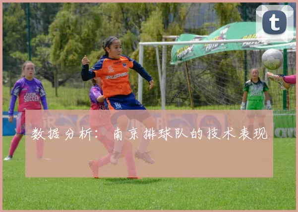 数据分析：南京排球队的技术表现
