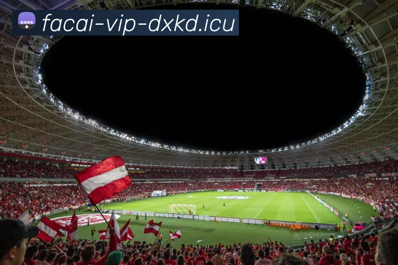 华体会体育发展历程